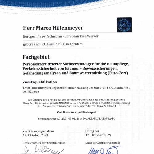 Sachverständiger in der Baumpflege